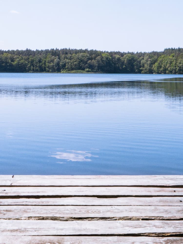 Mecklenburg-Vorpommern